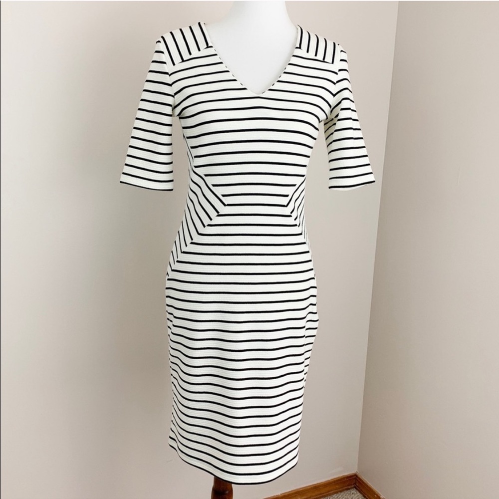 Antonio Melani Black White Stripe Sheath Dress